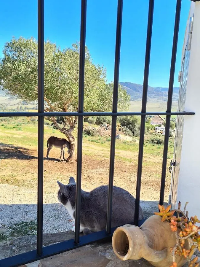 Holiday home Rancho Blanco Tarifa La Pena Villa